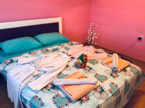 Apartman NINA Zlatar #2